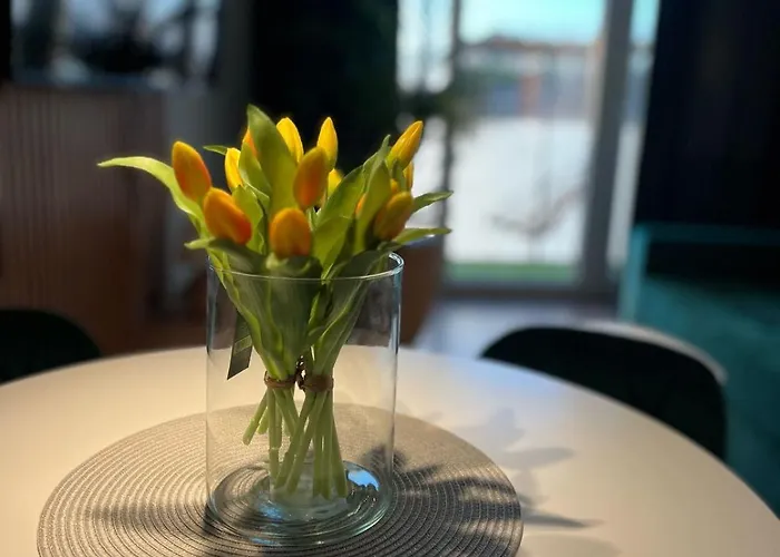 Apartmán Intelliparts Q *